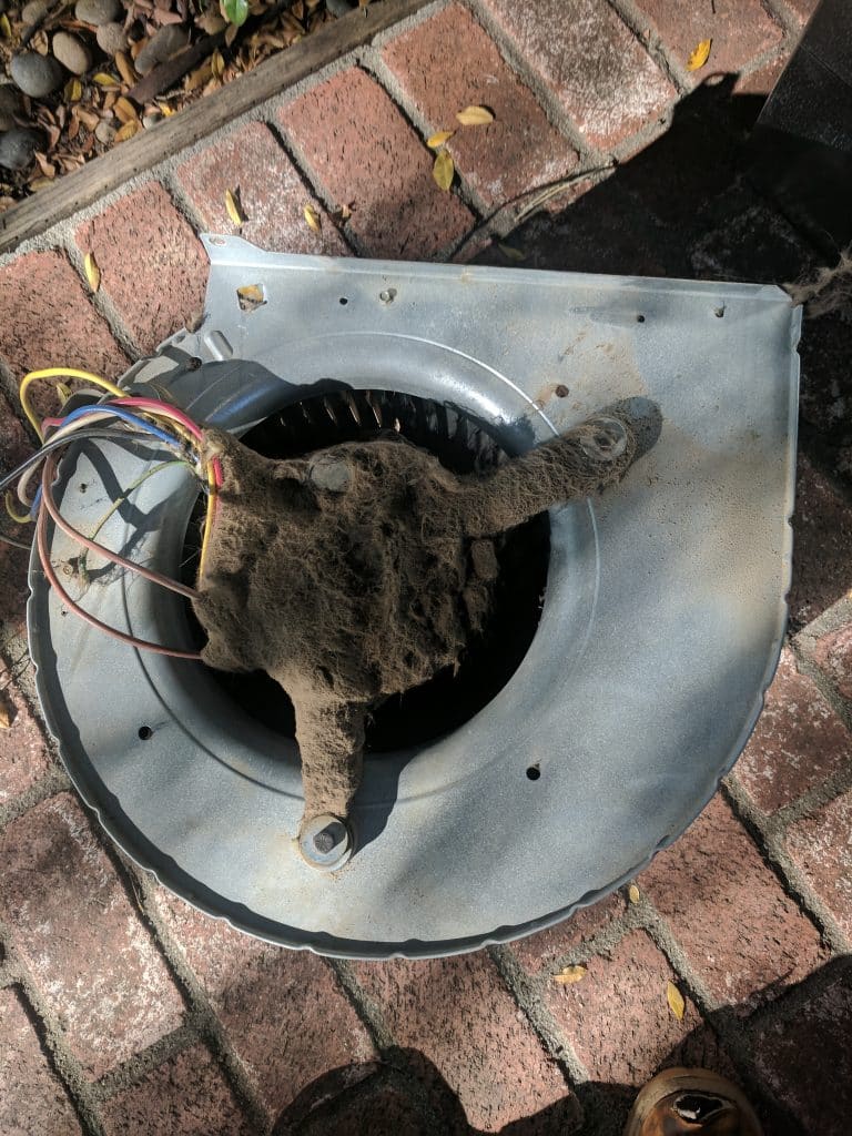 Answers to your question, why is the air from my air vents so weak? Well, on a centrifugal blower wheel and motor, removed from an hvac unit and sitting on brick, completely matted with a thick layer of dark-brown dust.